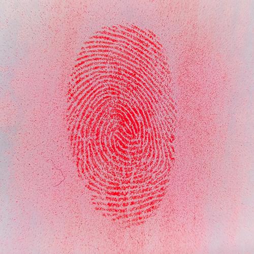 FORENSCOPE CSI Pro 2 Anwendungsbereich Fingerabdrücke