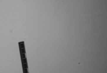 Handabdruck auf einer Wand